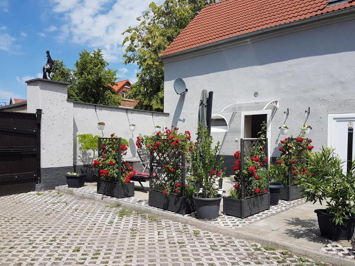 Pferdepension Jaeger Markranstädt المظهر الخارجي الصورة